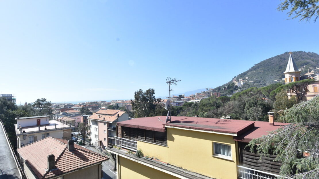 Immagine video