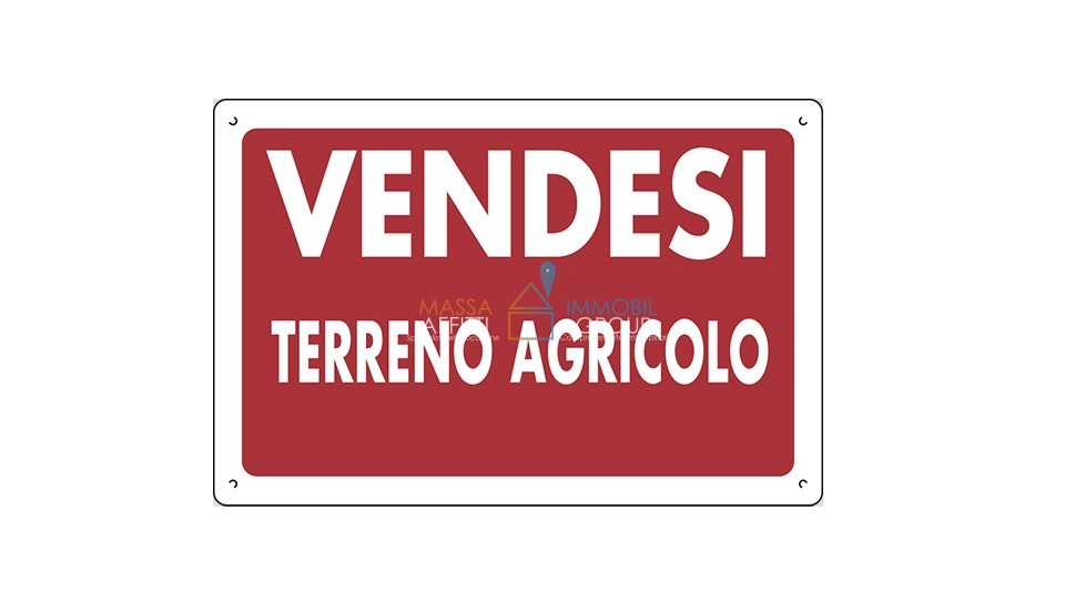 Immagine video