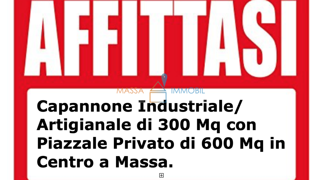 Immagine video
