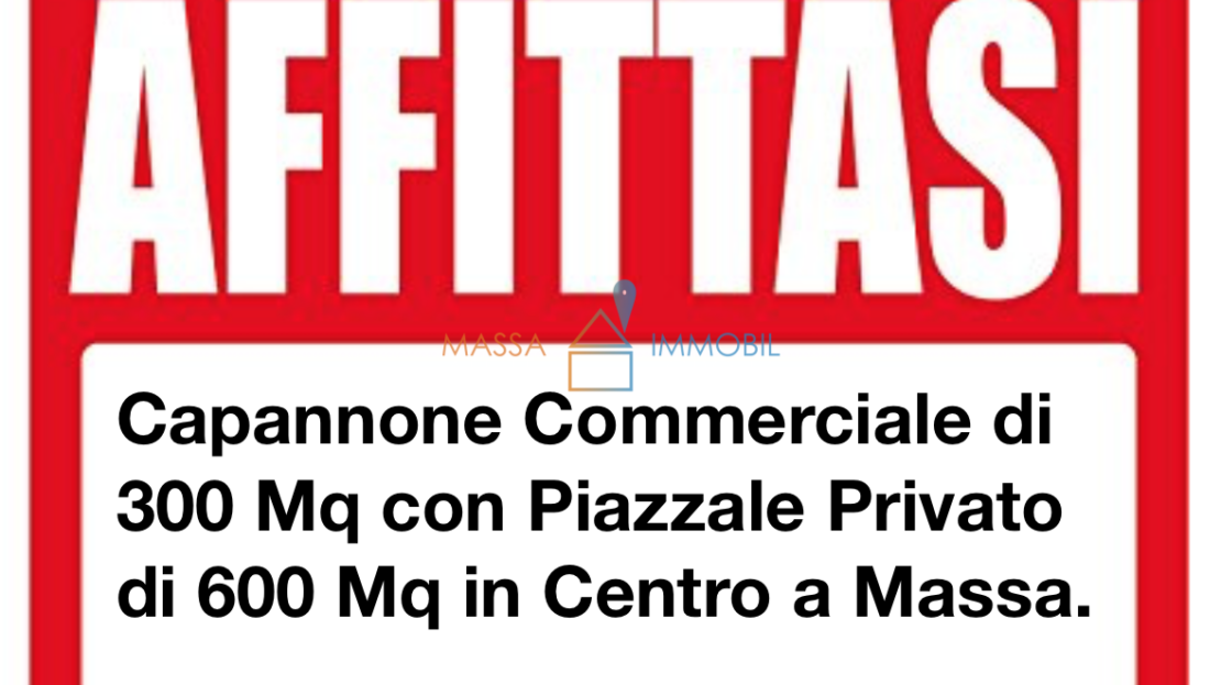Immagine video