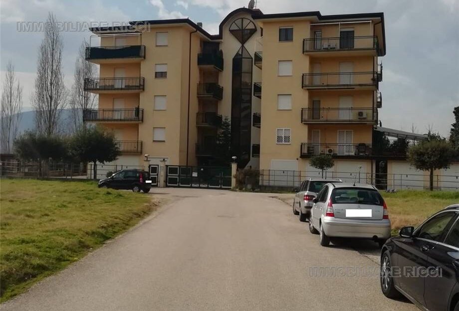 Immagine video