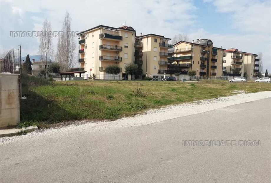 Immagine video