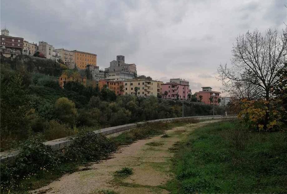 Immagine video
