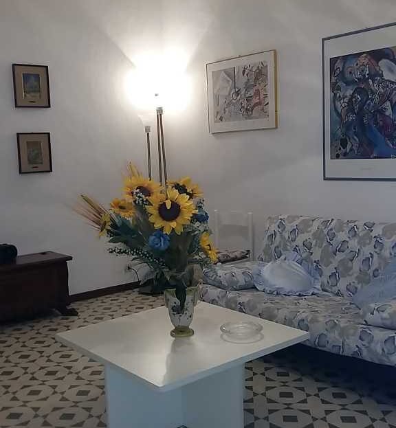 Immagine video