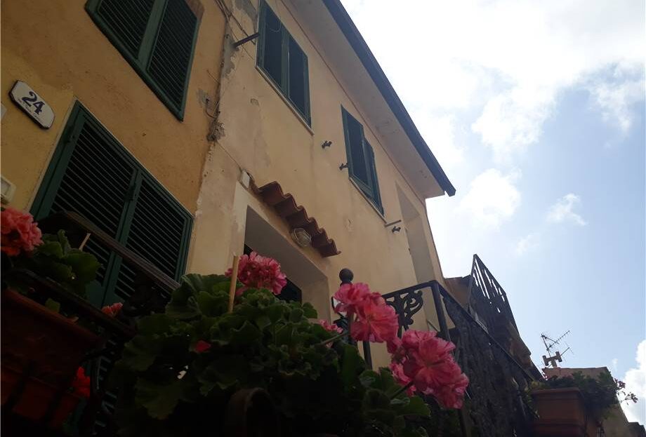 Immagine video