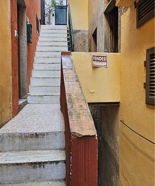 Immagine video