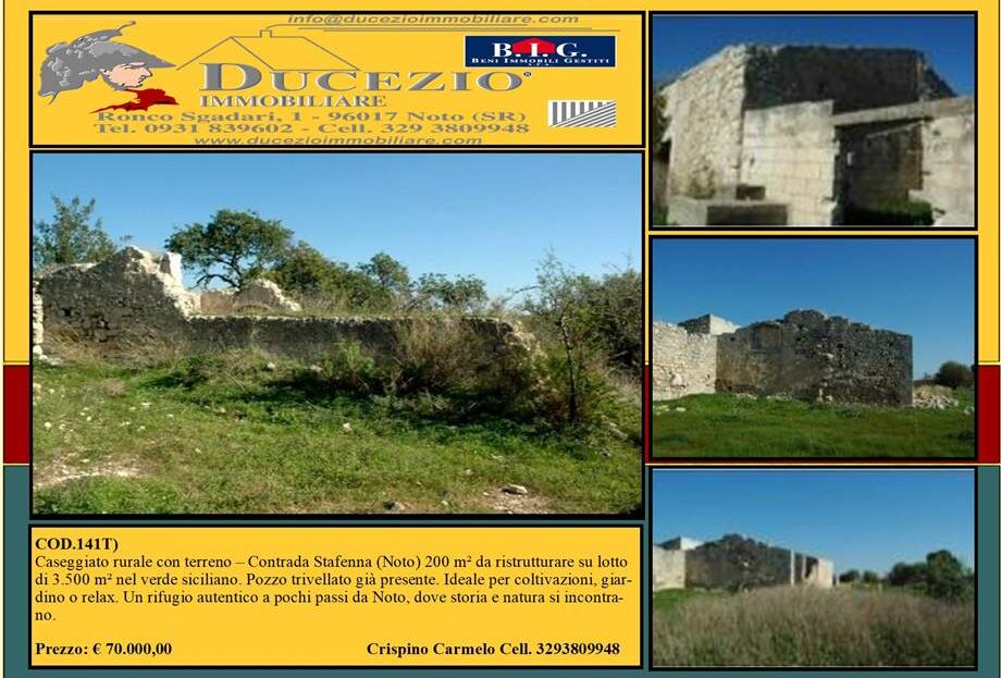 Immagine video