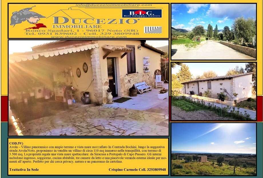 Immagine video