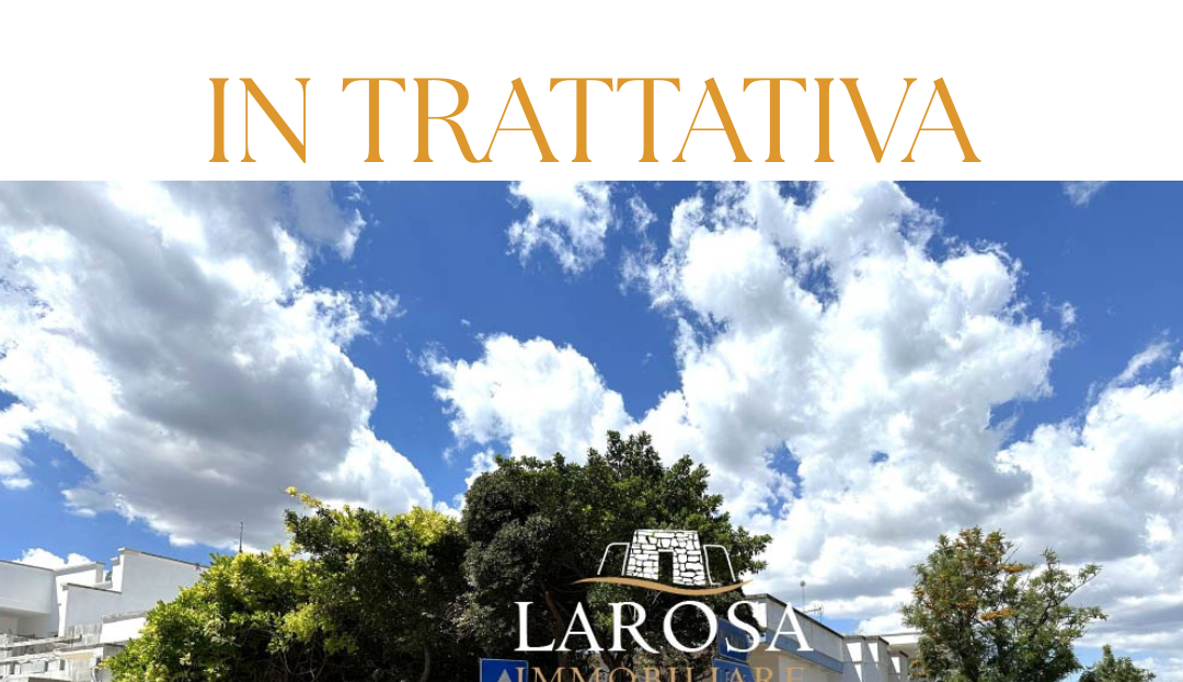 Immagine video
