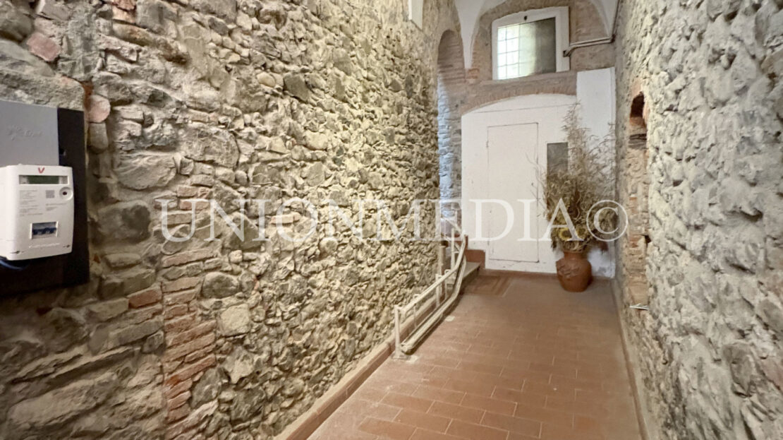 Immagine video