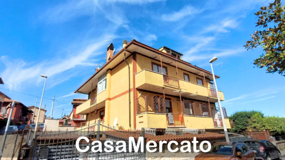 Immagine video