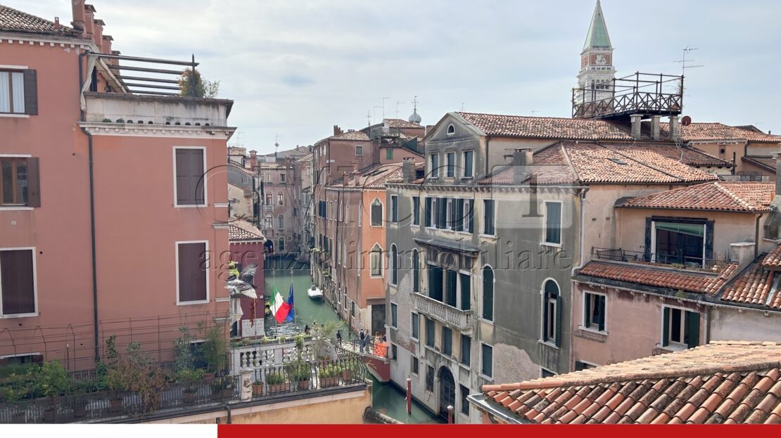 Immagine video