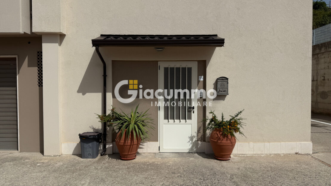 Immagine video