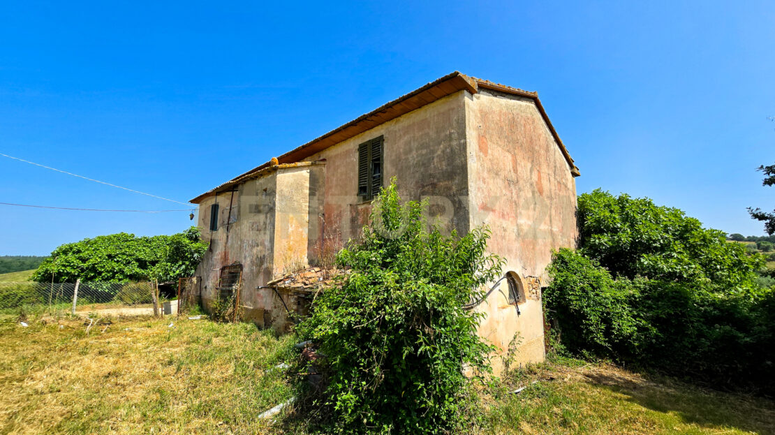 Immagine video