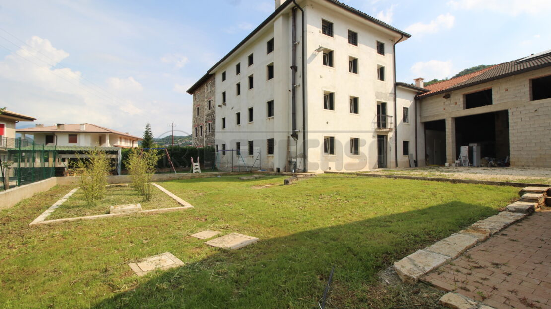 Immagine video