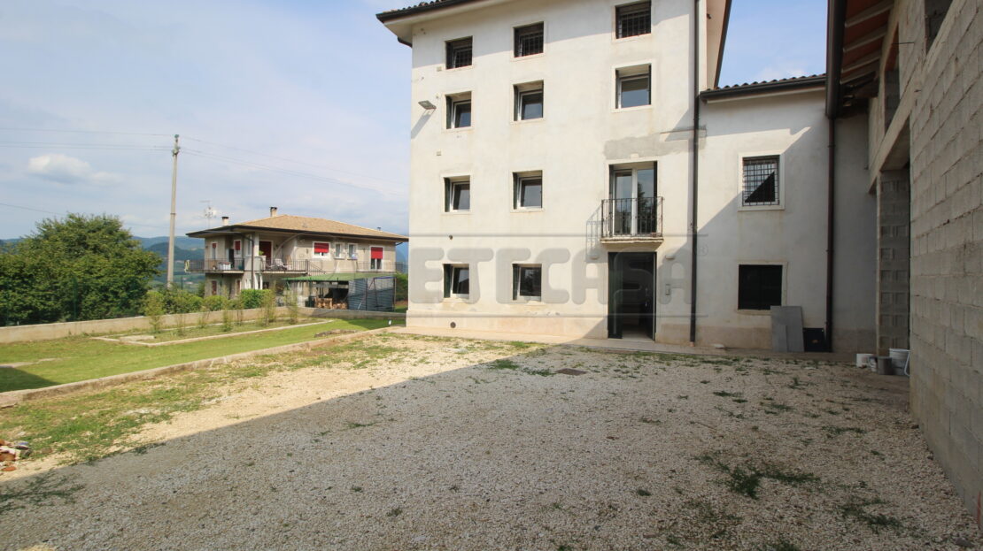 Immagine video