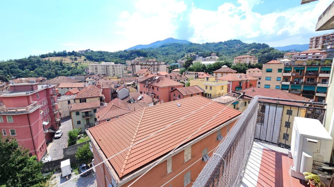 Immagine video