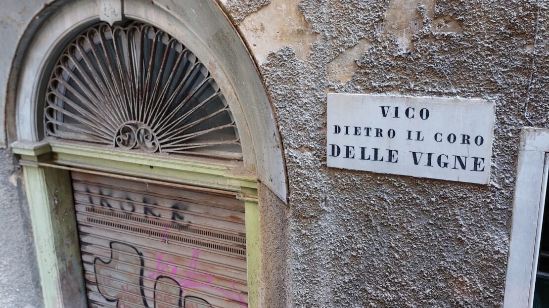 Immagine video