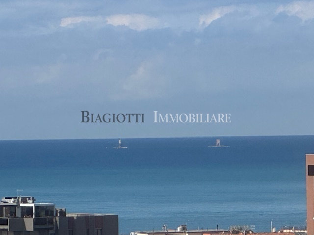Immagine video