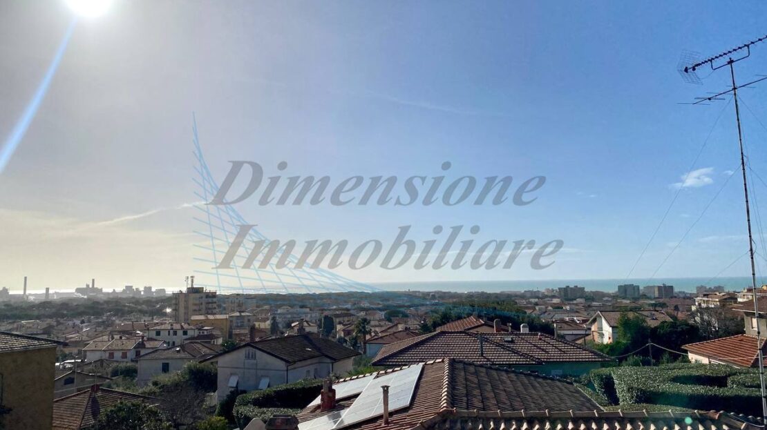 Immagine video