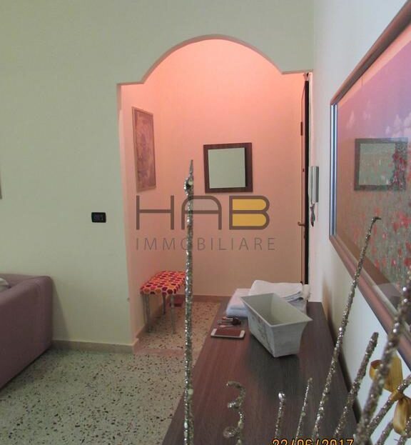 Immagine video