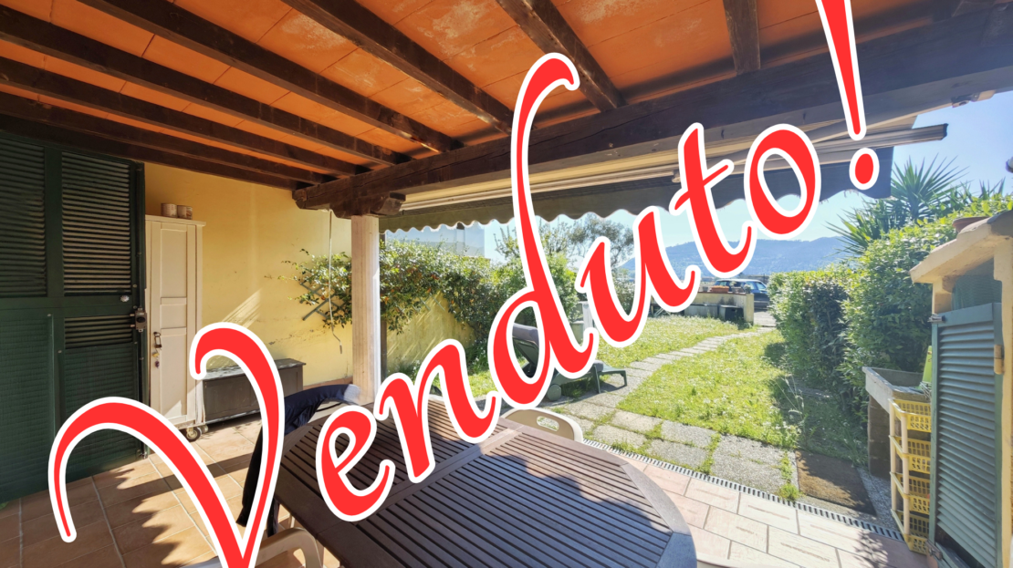 Immagine video