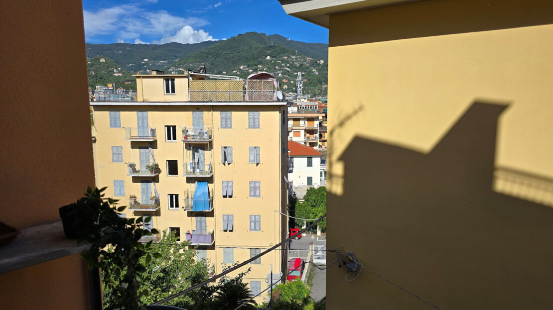 Immagine video