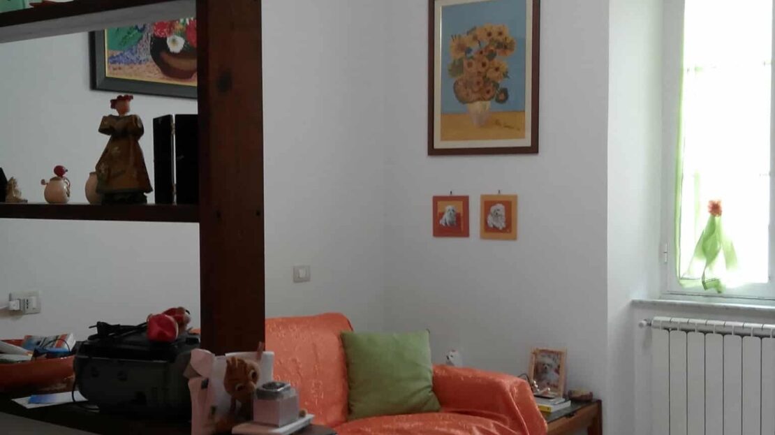 Immagine video