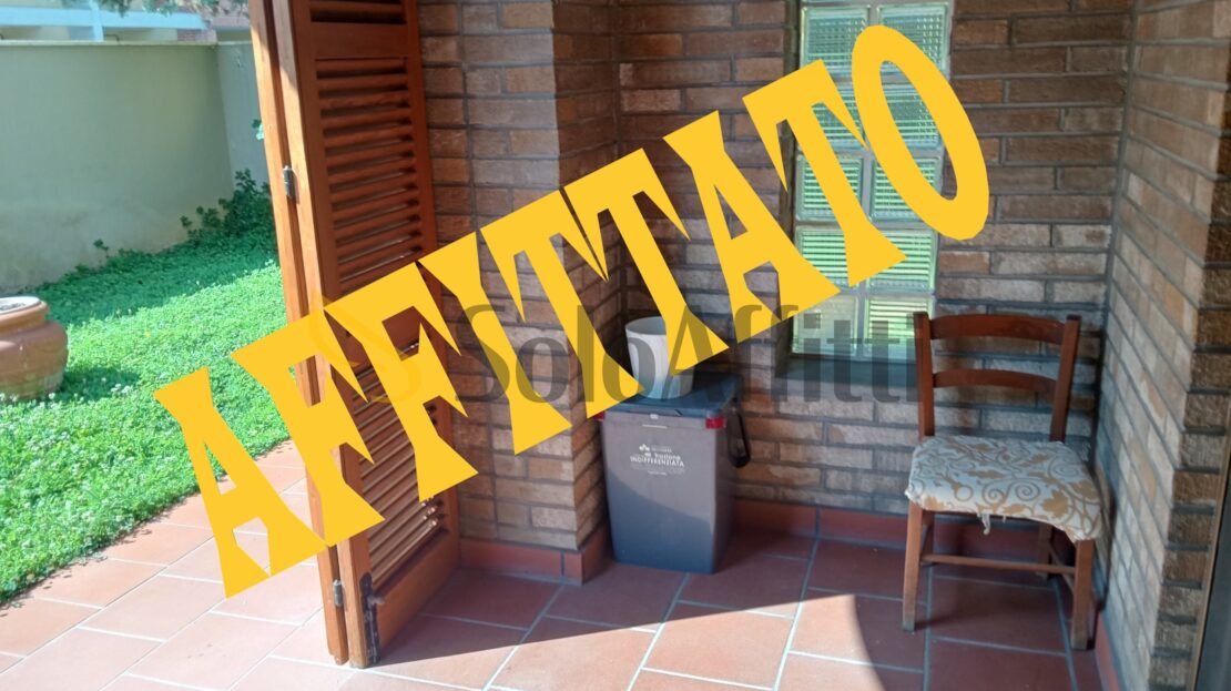 Immagine video