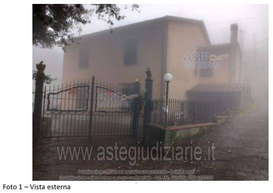 Immagine video