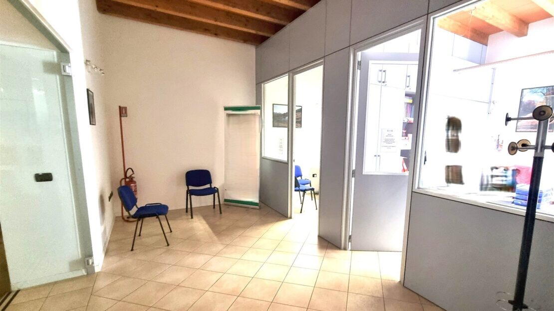 Immagine video