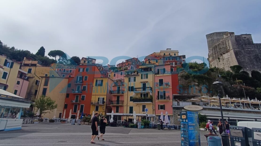 Immagine video