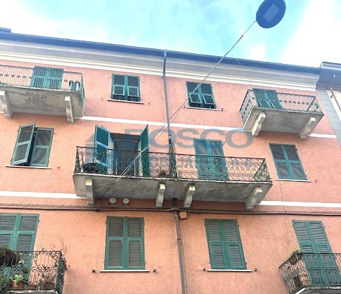 Immagine video