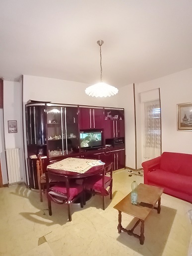 Immagine video