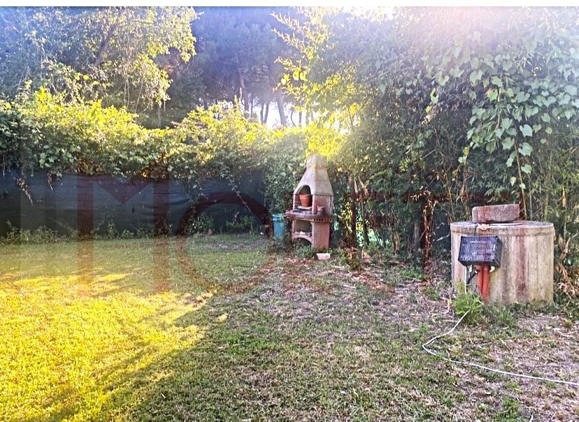 Immagine video