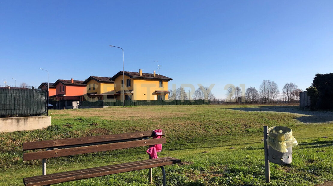 Immagine video