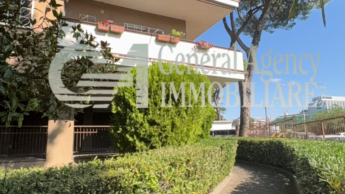 Immagine video