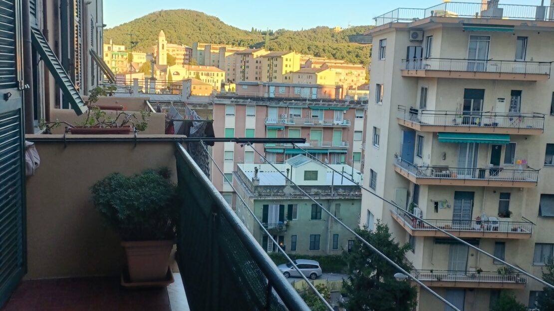 Immagine video