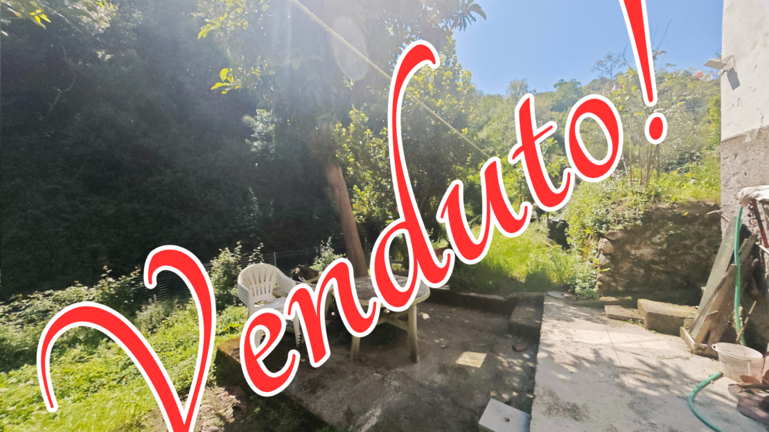 Immagine video