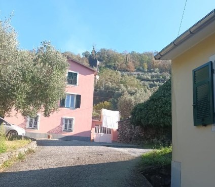 Immagine video
