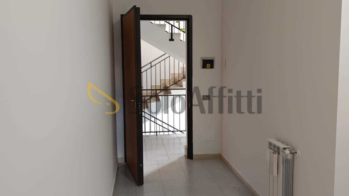 Immagine video