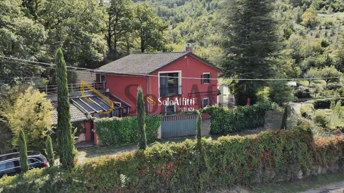 Immagine video
