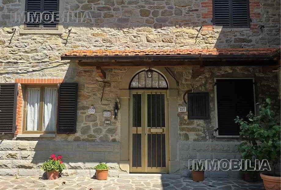 Immagine video