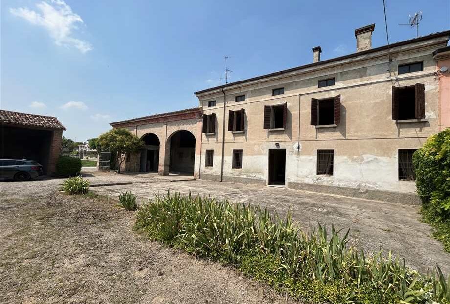 Immagine video