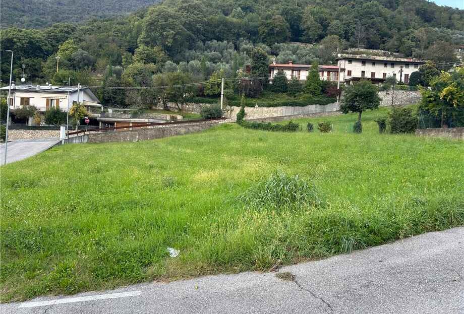 Immagine video