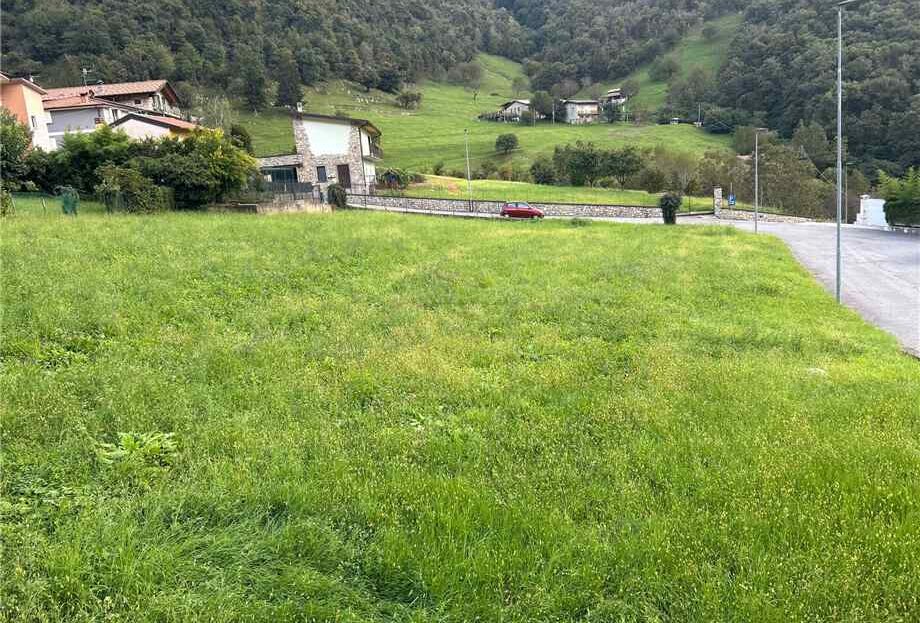 Immagine video
