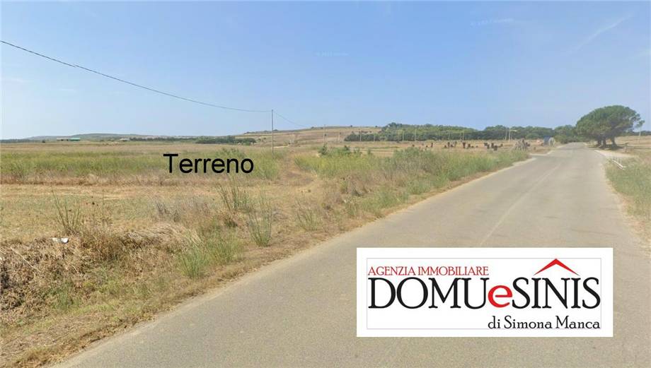 Immagine video