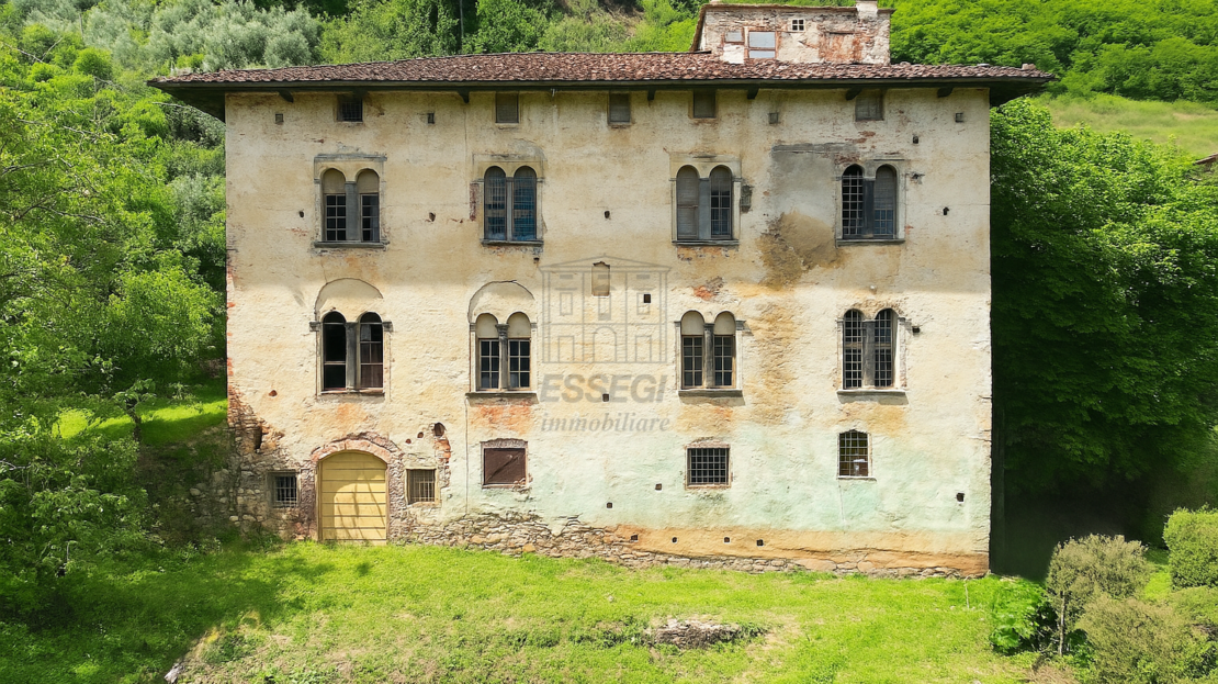 Immagine video