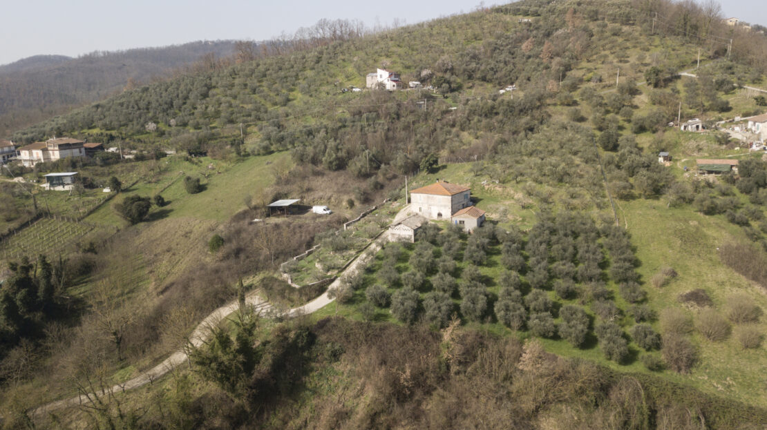 Immagine video