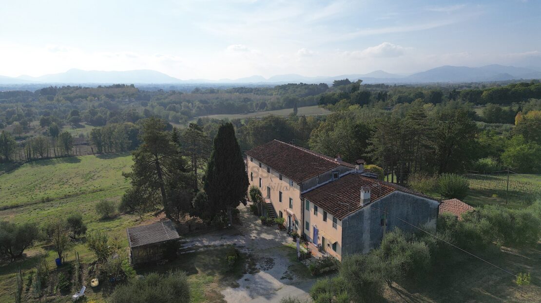 Immagine video
